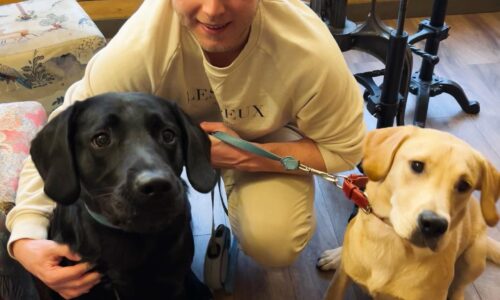DIGBY & CHAMP – FOR A DOG’S LIFE